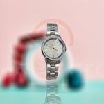 DW Full Silver Watch